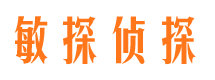 海安市调查公司